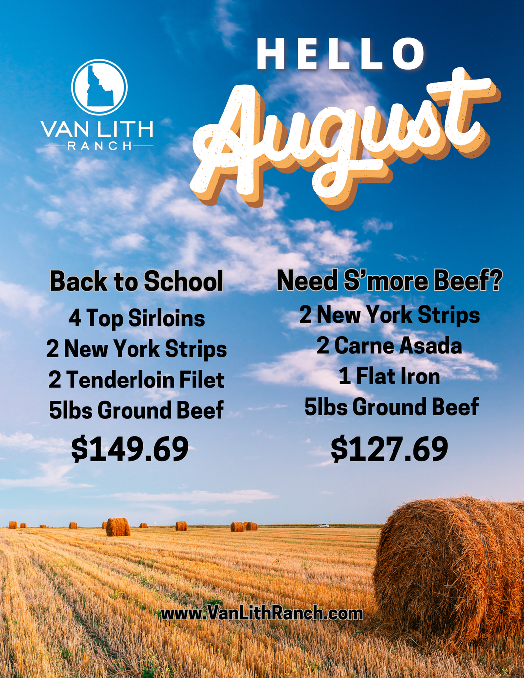 August Boxes